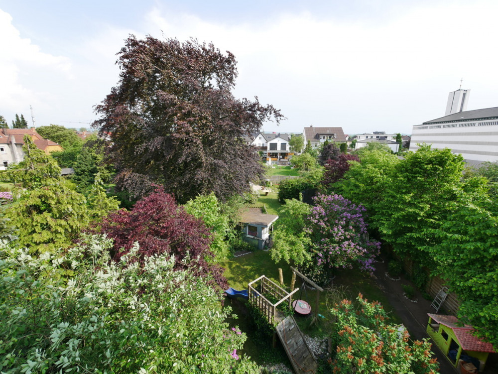 Luftbild Grundstück