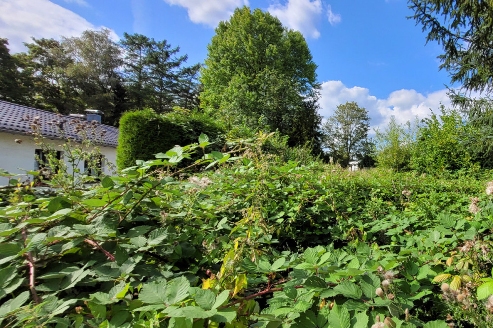 Blick über den Zaun