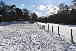 Die Rehwiese im Winter