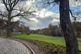 Die schöne Rehwiese direkt vor der Haustür