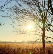 Blick vom Garten Richtung Dorf