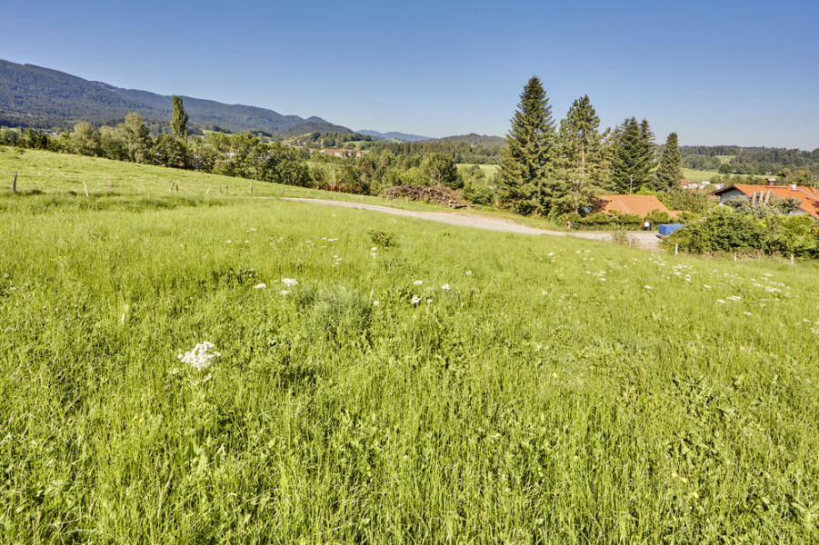 Alpen-Immo_Schliersee_Grundstück_Tratberg5