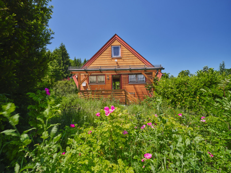 Alpen-Immo_EFH_Holz_2