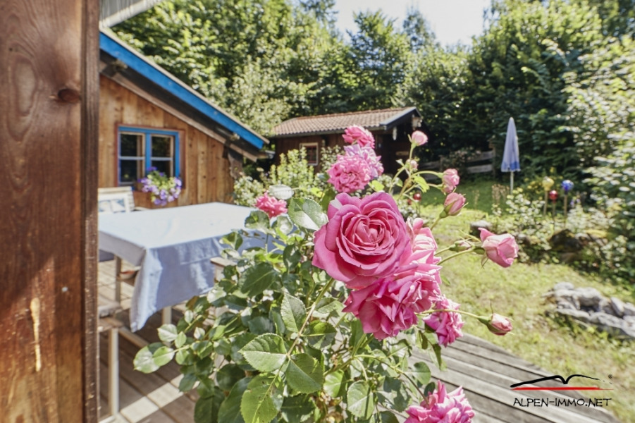 Alpen-Immo_Schliersee_Immobilie_Bayrischzell