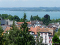 Blumen_Aussicht