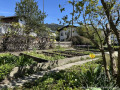 Garten II