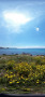 Strand Golfo Aranci