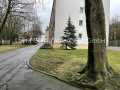 Umgebung