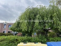 Umgebung