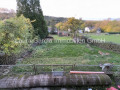Der Garten