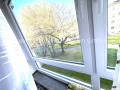 Fenster Zi. 2