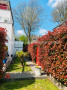 Garten seitlich