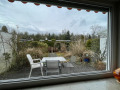 Blick in den Garten