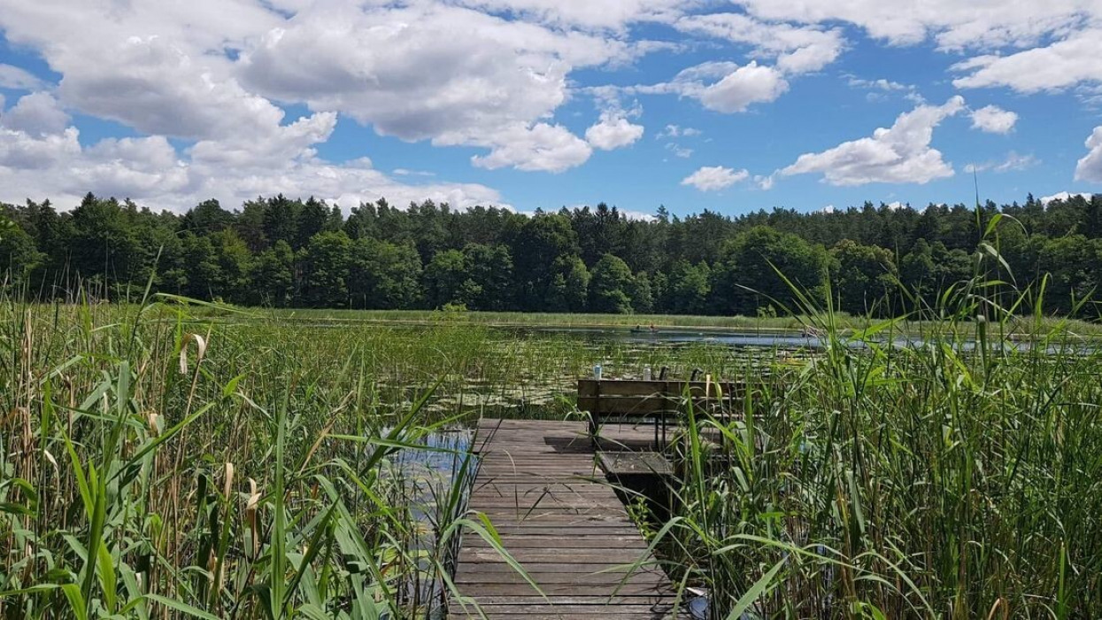 Sommeraufnahmen Steg.png