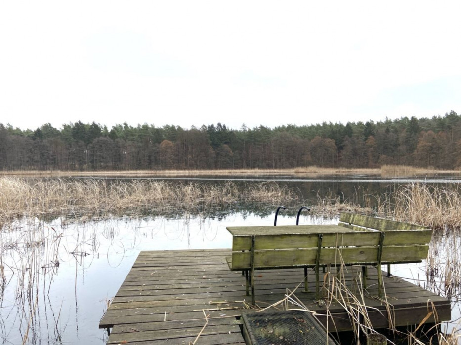 Blick über den See.png