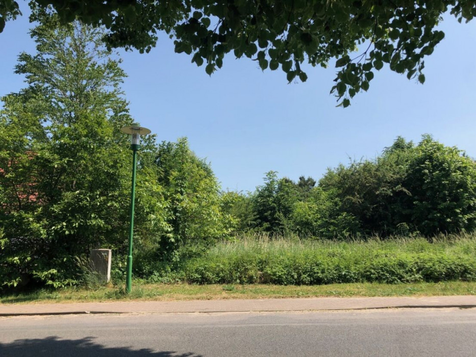 Vordere Grundstücksansicht.png