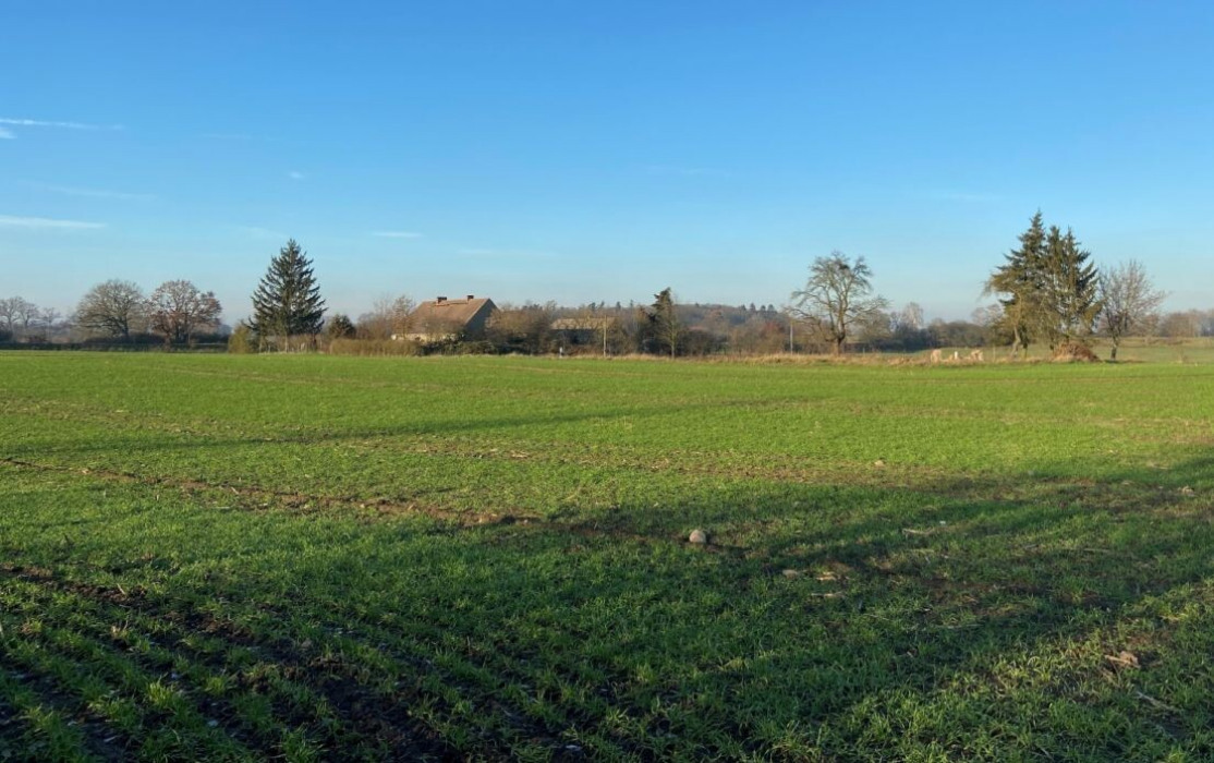 Grundstück Krewitz.png