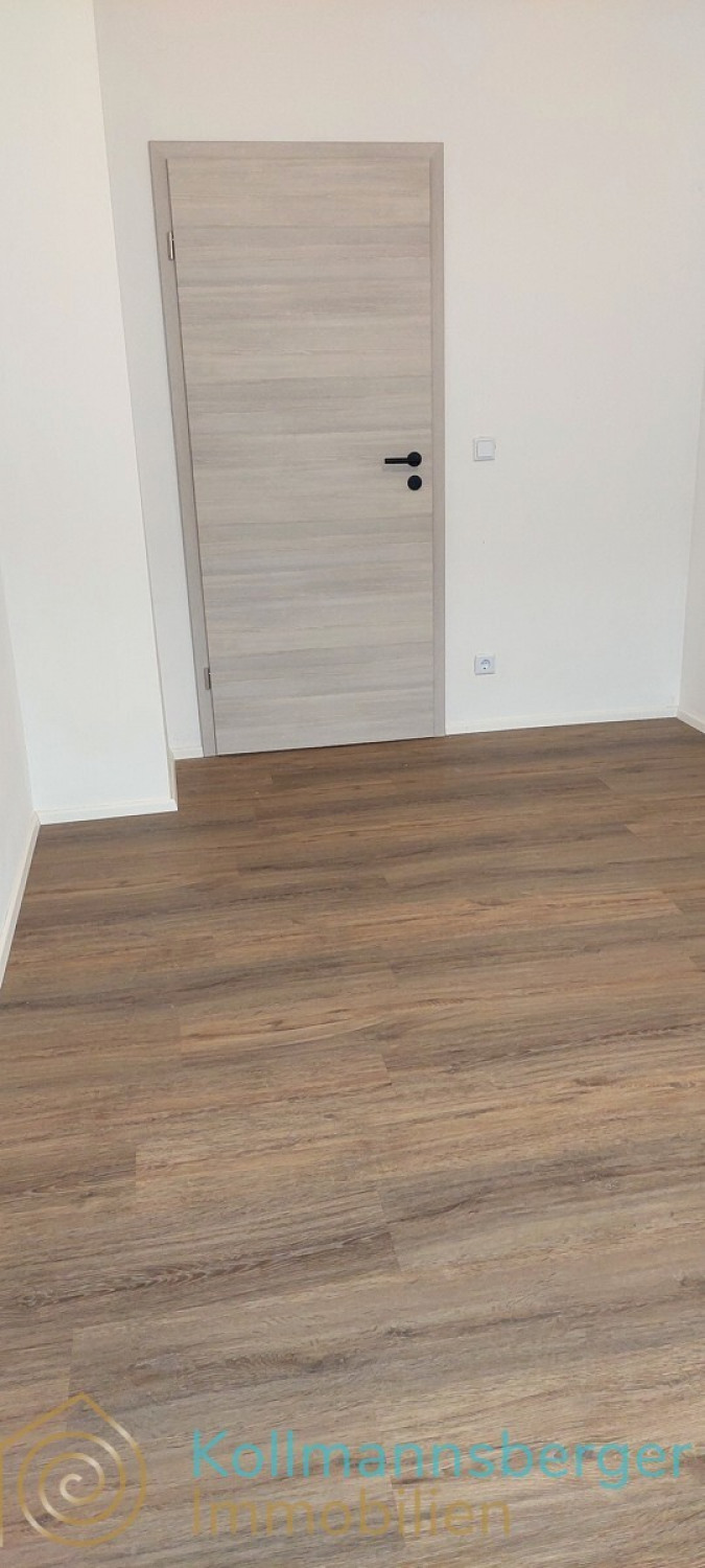 moderne, neue Zimmertüren