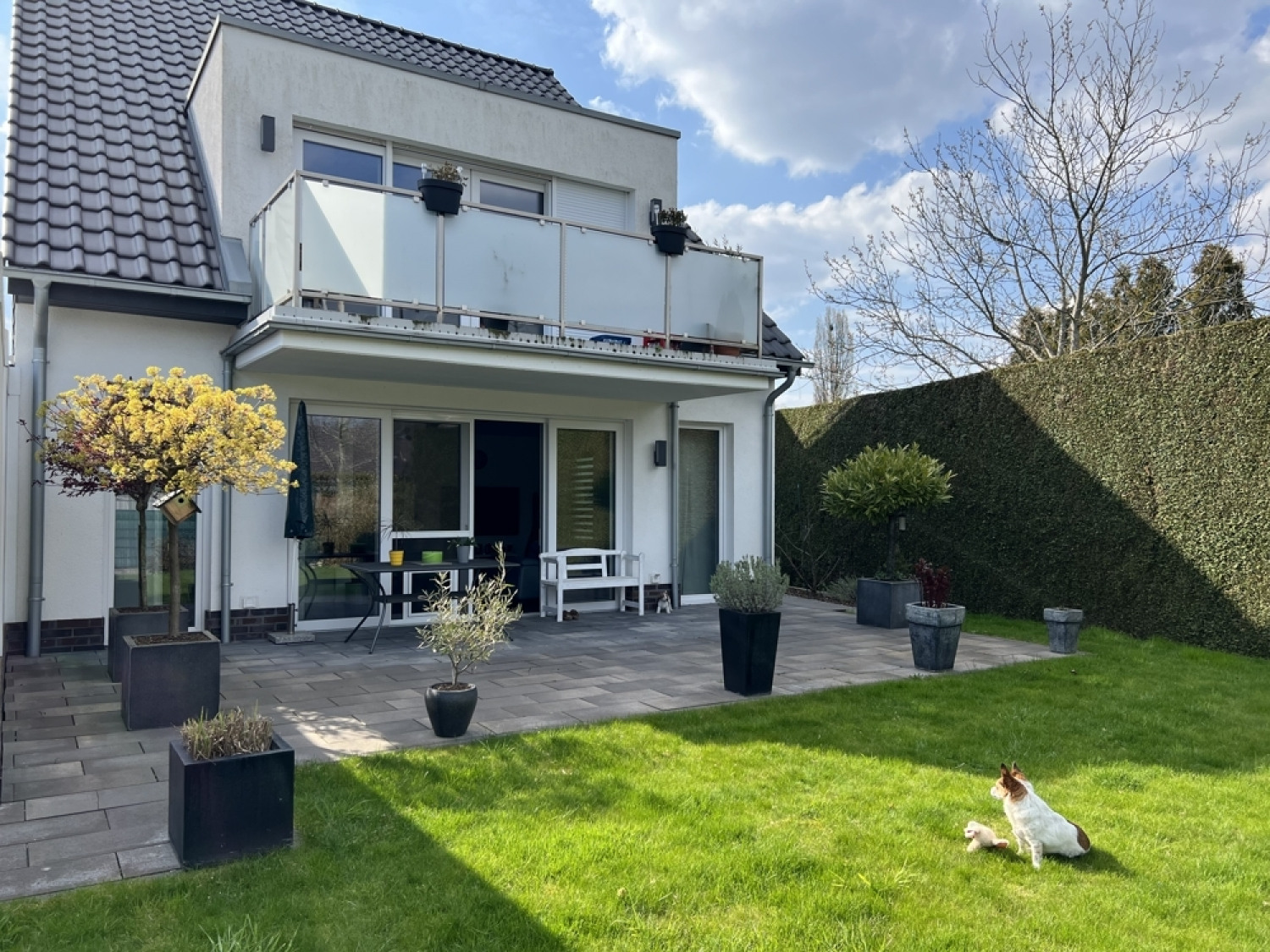 Garten Bild 1
