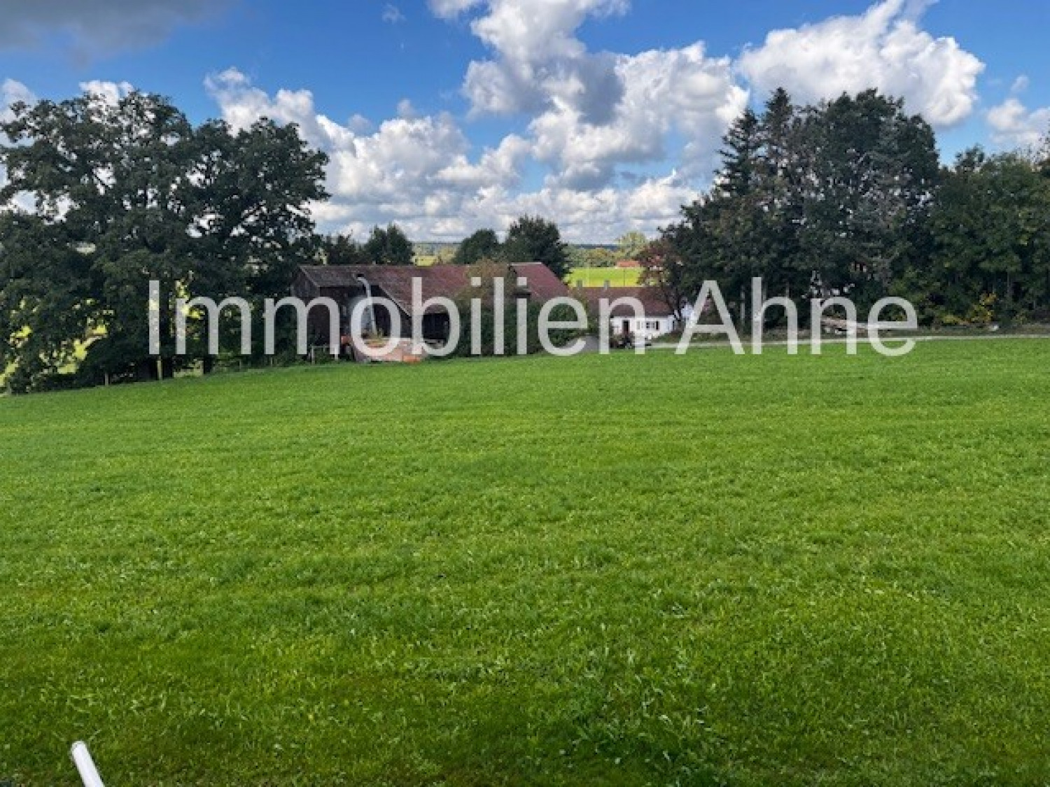 Blick ins Grüne