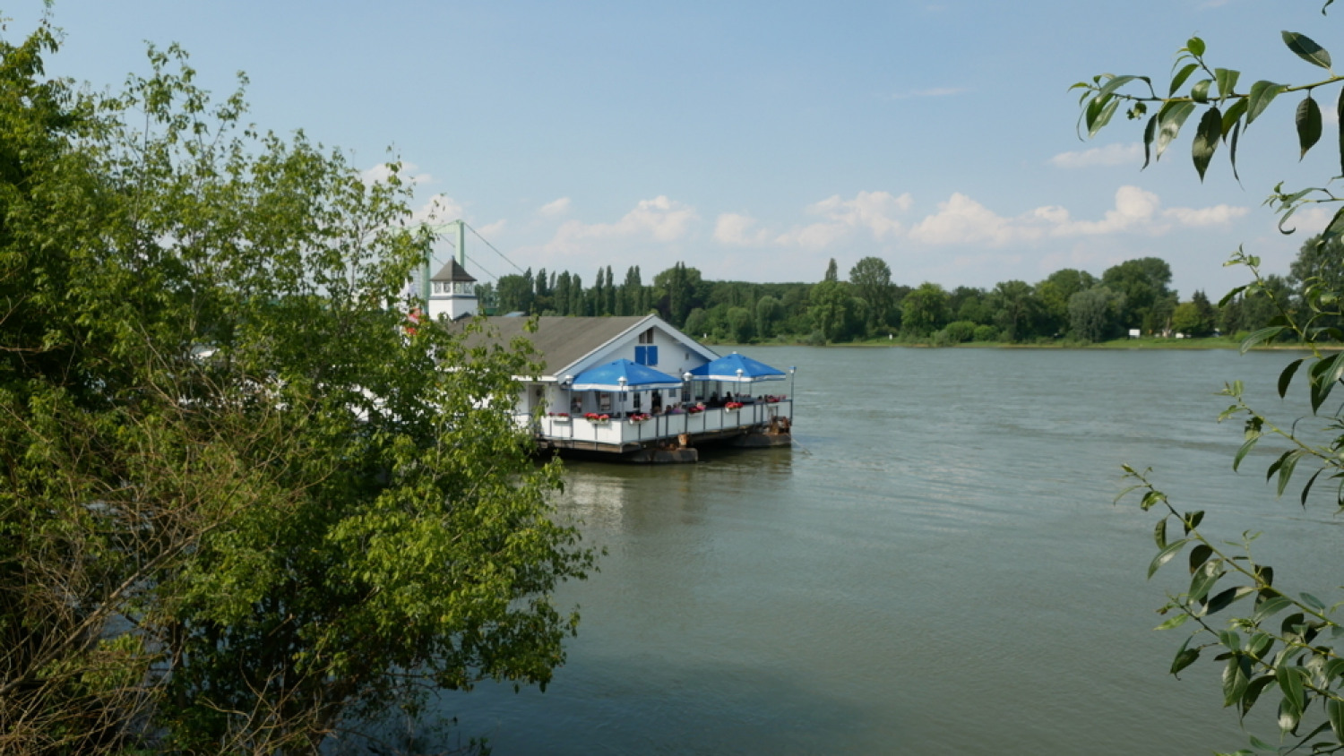 Leben und Wohnen am Rhein
