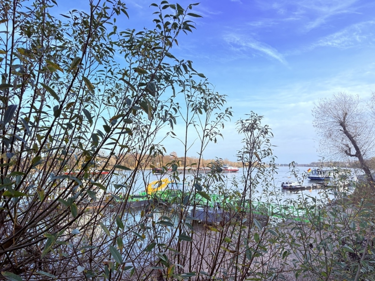 Blick auf den Rhein 1