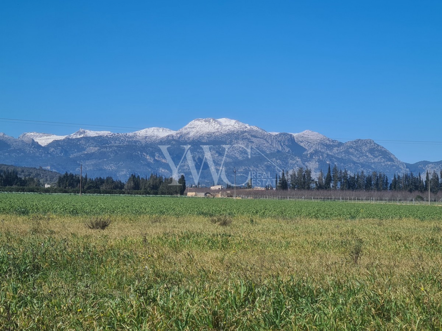 x-mallorca-finca-norden-llubi-großes-grundstück-aussicht-berge-fernsicht