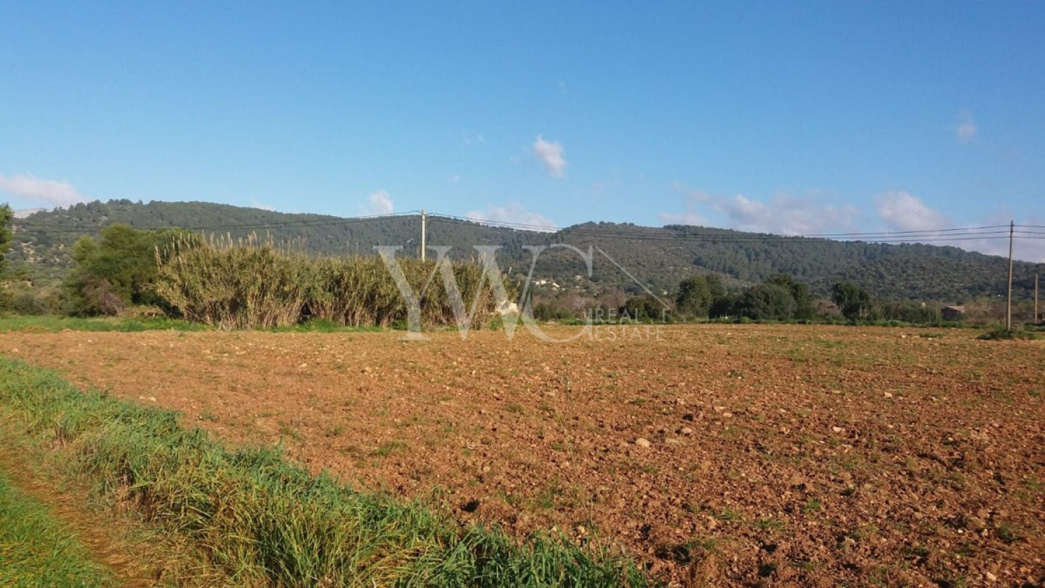 X-mallorca-norden-bauplatz-mit-finca-ackerland-fruchtbarerboden