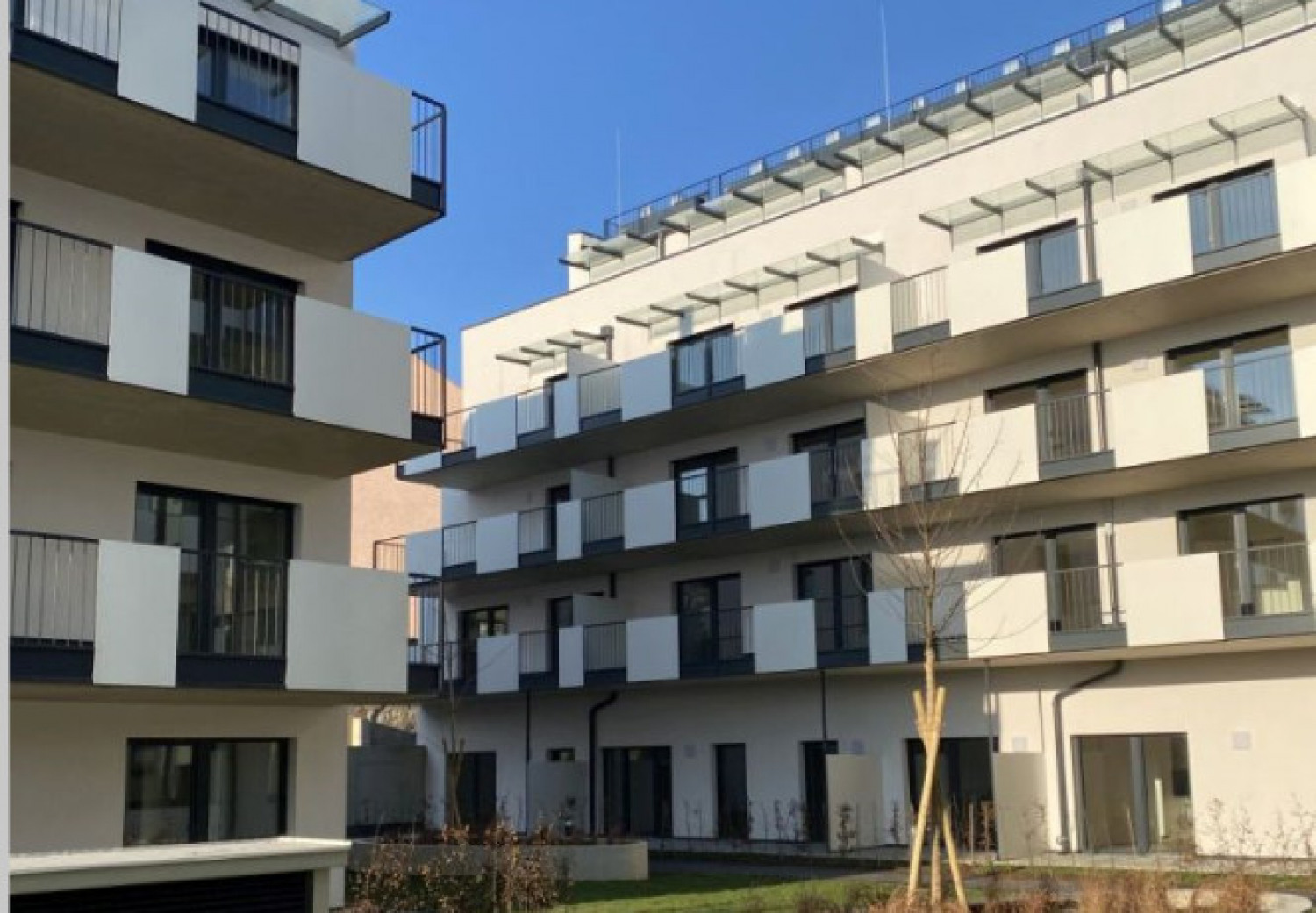 Zelzer Immobilien