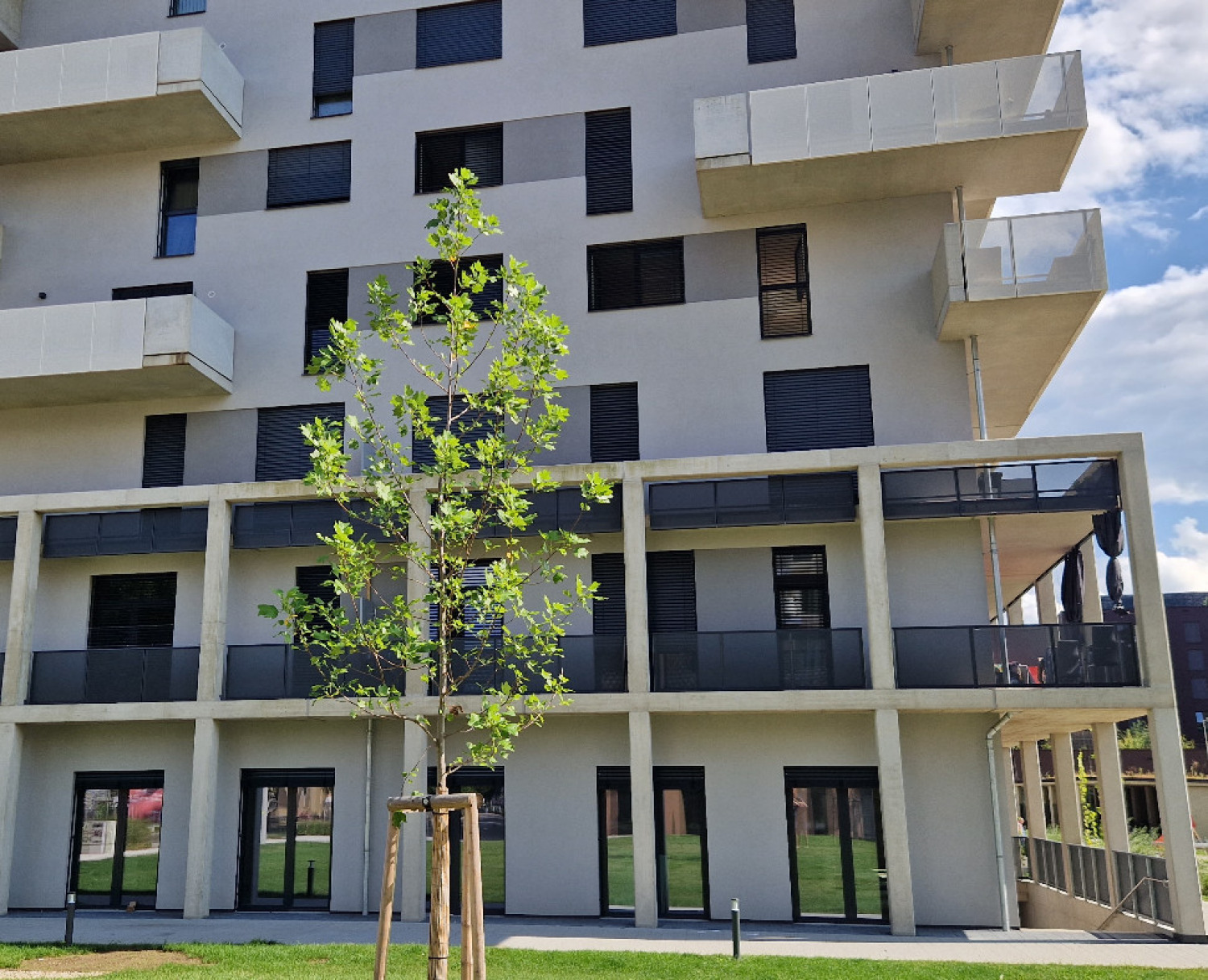 Zelzer Immobilien Klagenfurt