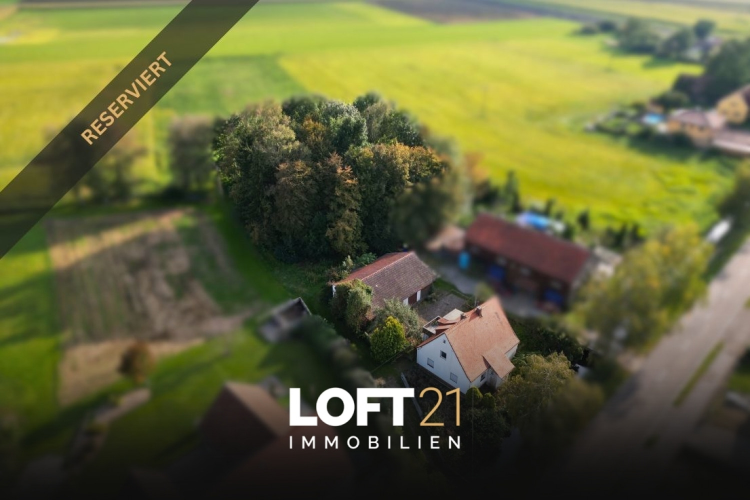 LOFT21 Immobilien