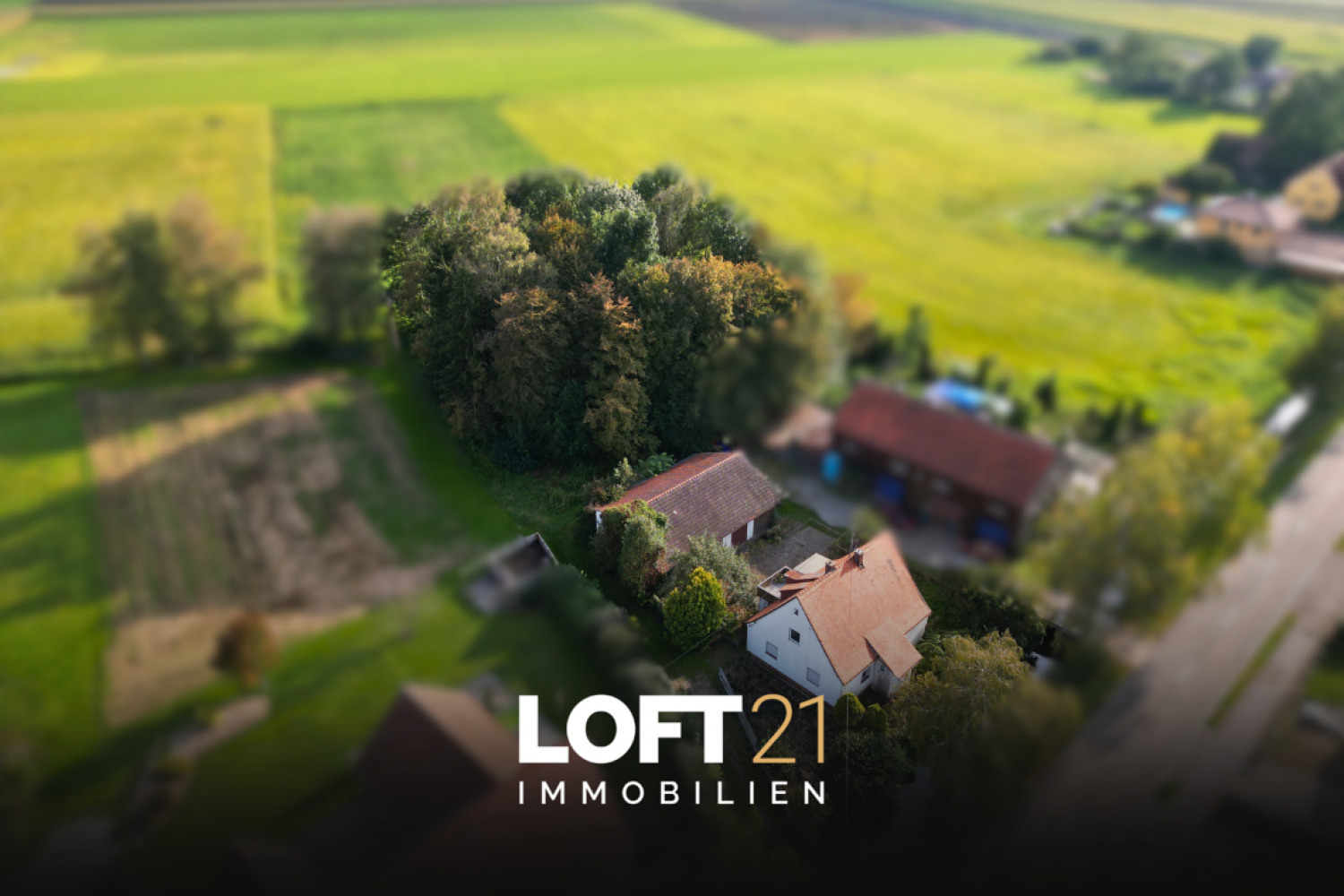 LOFT21 Immobilien
