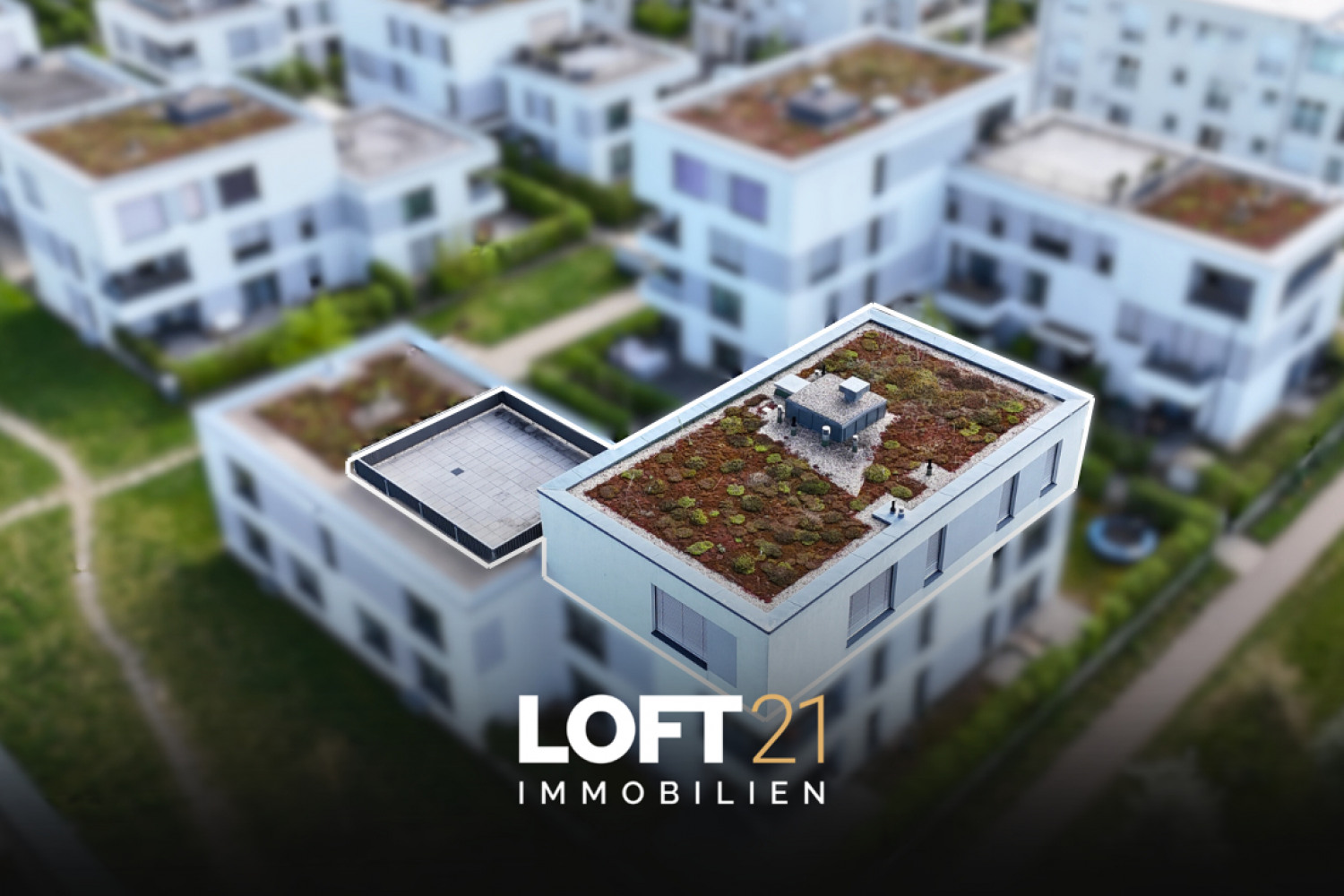 LOFT21 IMMOBILIEN