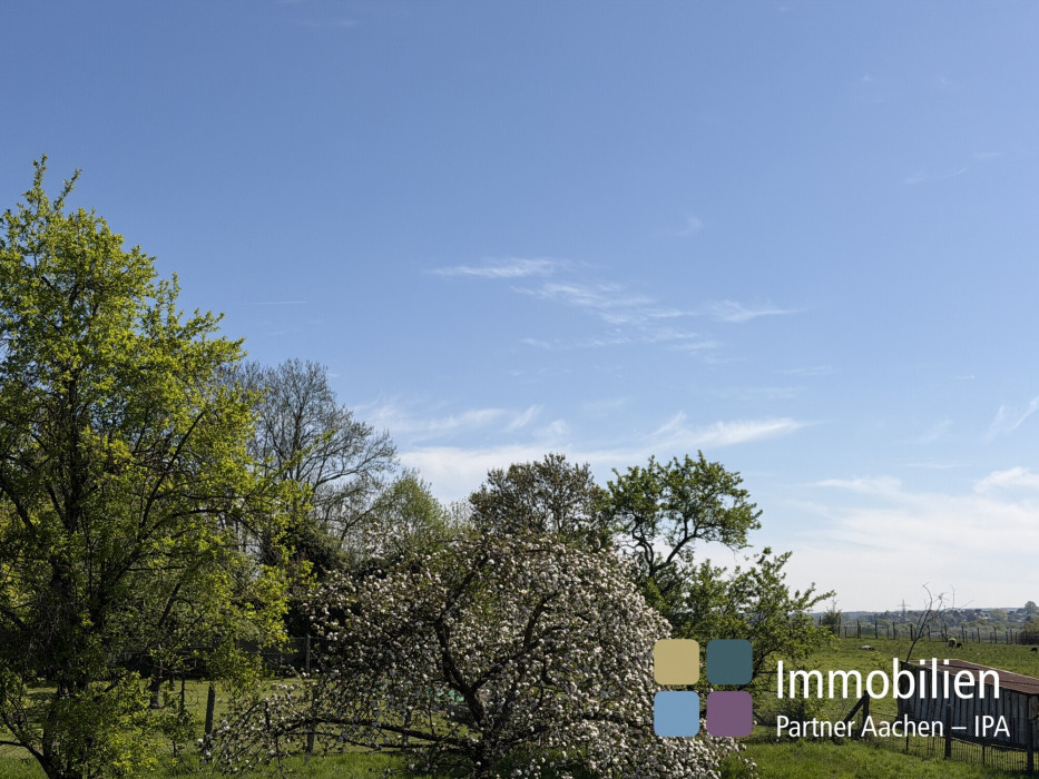 Blick in die Ferne
