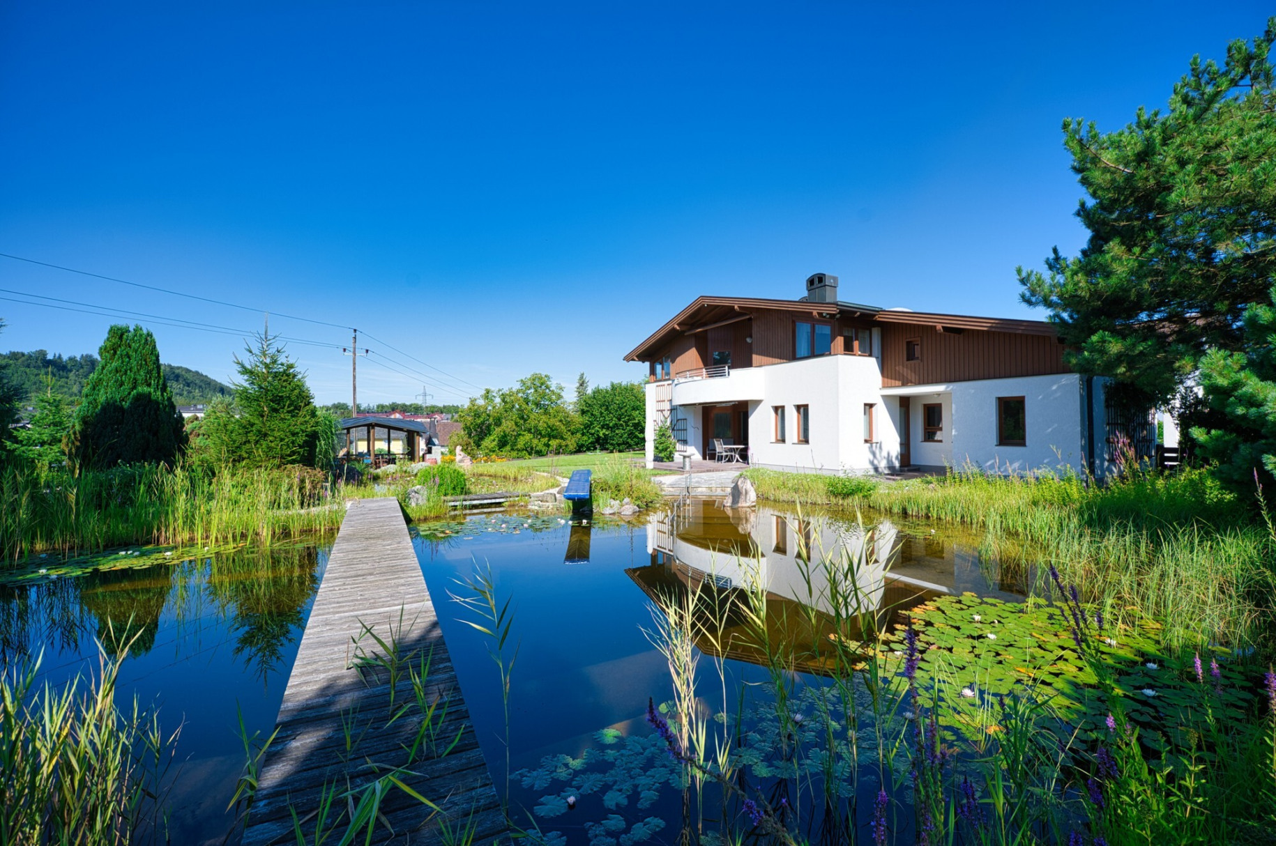Blick vom Schwimmteich auf das Haus DSC_5611