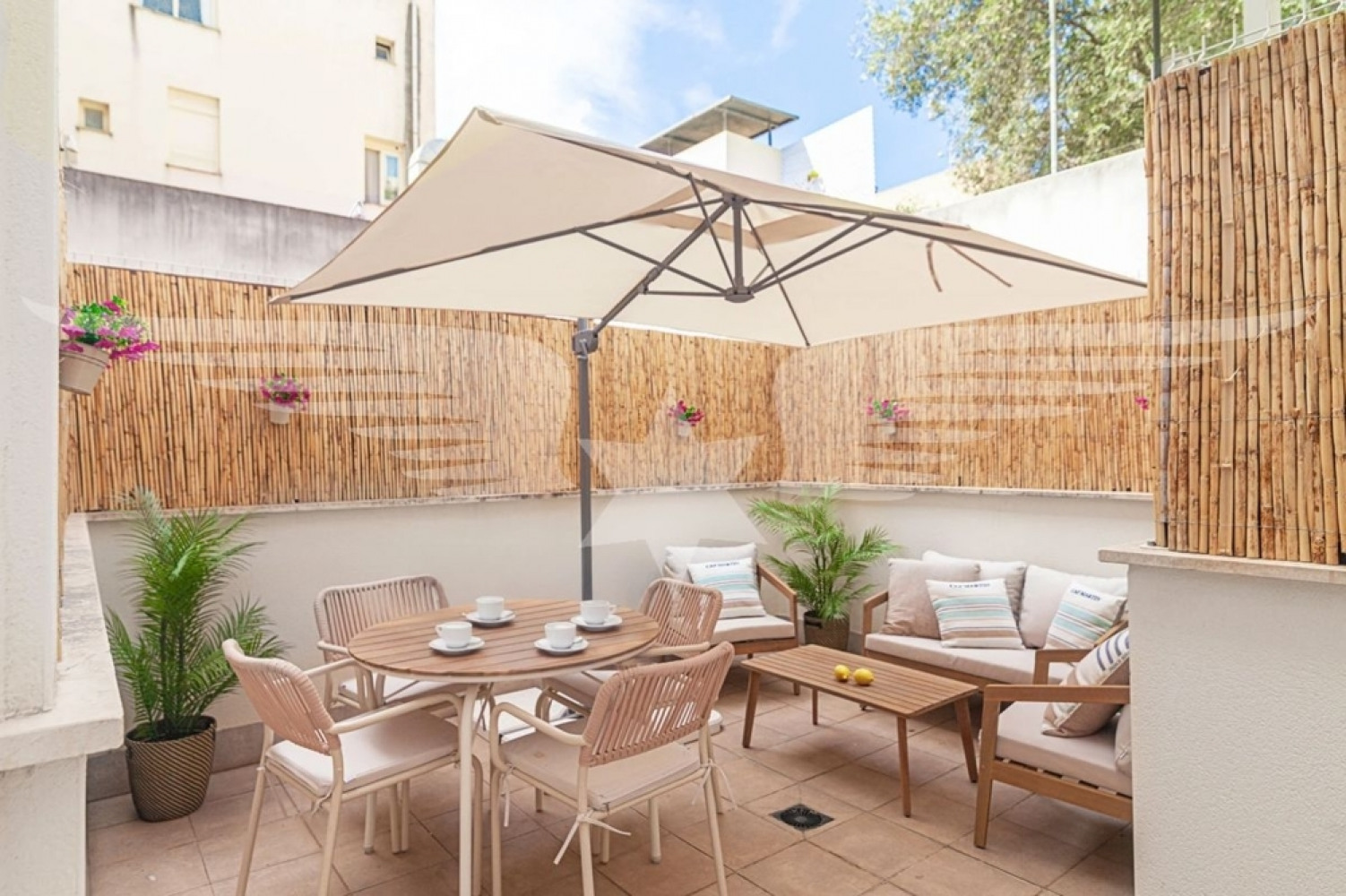 Terraza
