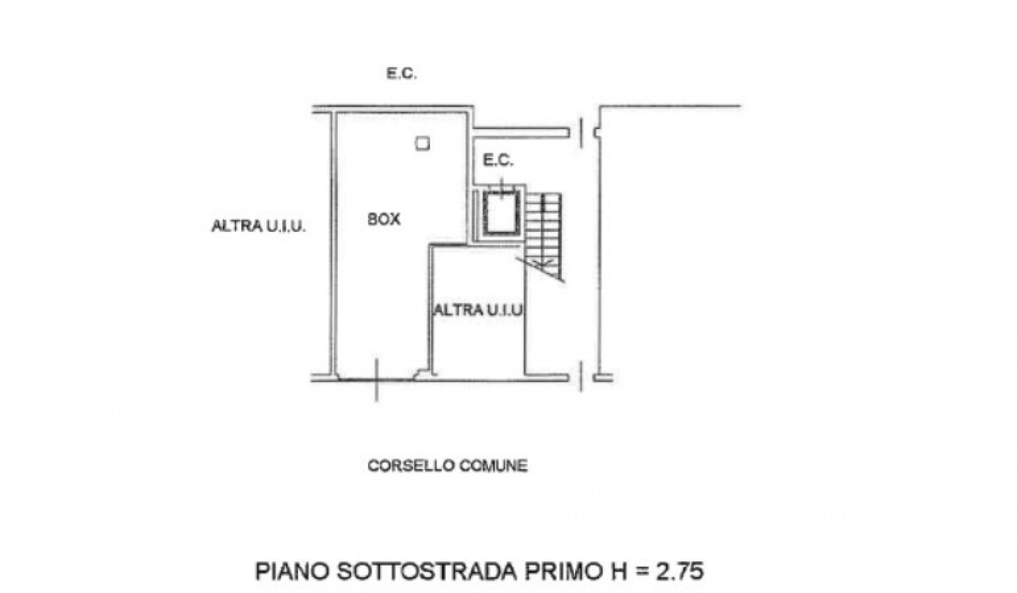 Immagine 2025-05-04 182821