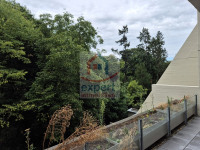 Ausblick in den Stadtpark