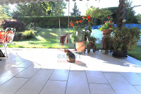 Blick in den Garten