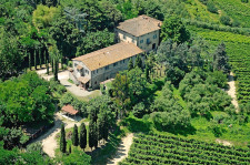 Schönes Landgut mit Weinberg und Olivenhain auf den Pisaner Hügeln - Pisa