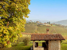 Elegantes Bauernhaus umgeben von Weinbergen in Dogliani - Piemont