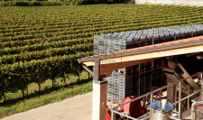 14ha grosses Weingut in der Valpolicella bei Verona - Gardasee