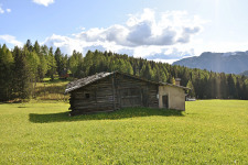 Charmanter Altbestand mit genehmigtem Projekt in Bellamonte - Trentino / Südtirol