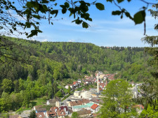 Neuenbürg