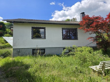 Haus