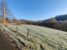 Nr. 2 und 3: Grünland 