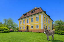 Hatz & Team Immobilien GmbH