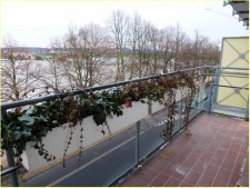 Balkon mit Rheinblick