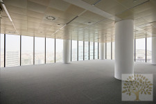  Neubau