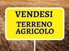 vendesi terreno